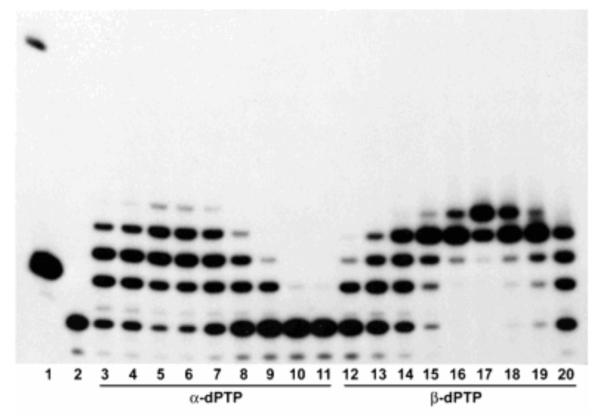 Figure 21