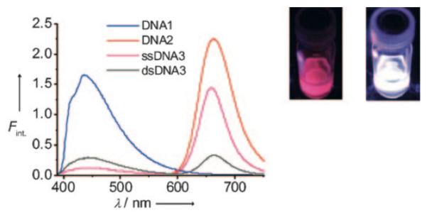 Figure 24