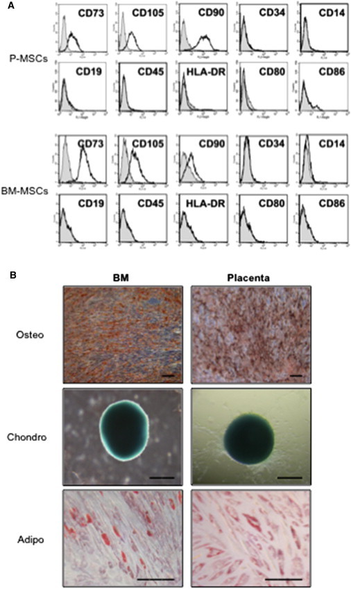 Figure 1