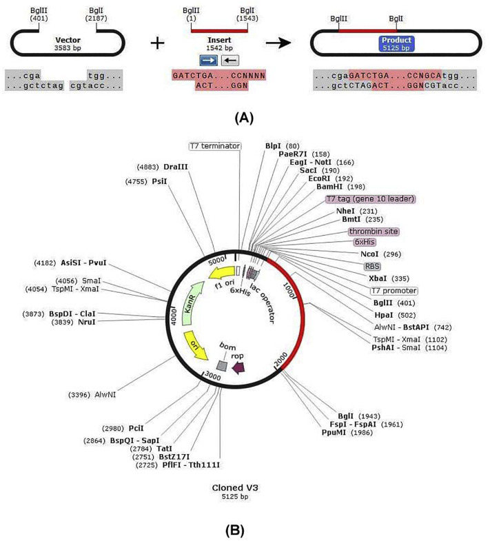 Fig. 12