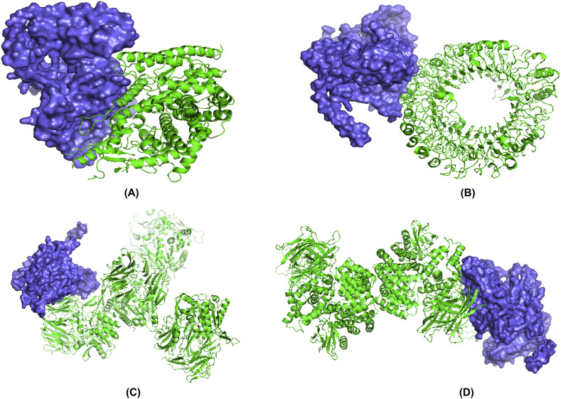 Fig. 11