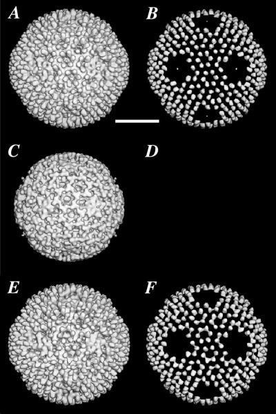 FIG. 4
