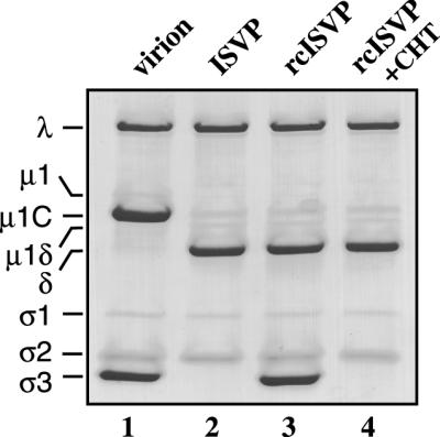 FIG. 5