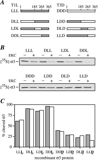 FIG. 10