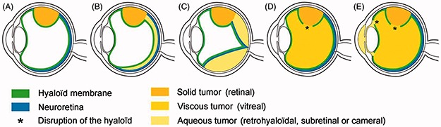 FIGURE 1.