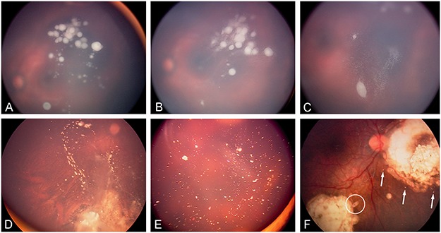 FIGURE 12.