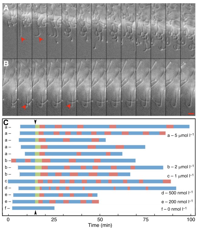 Fig. 2.