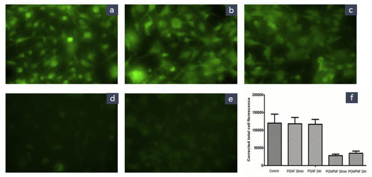 Fig. 10