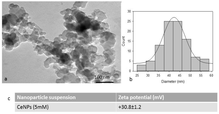 Fig. 1