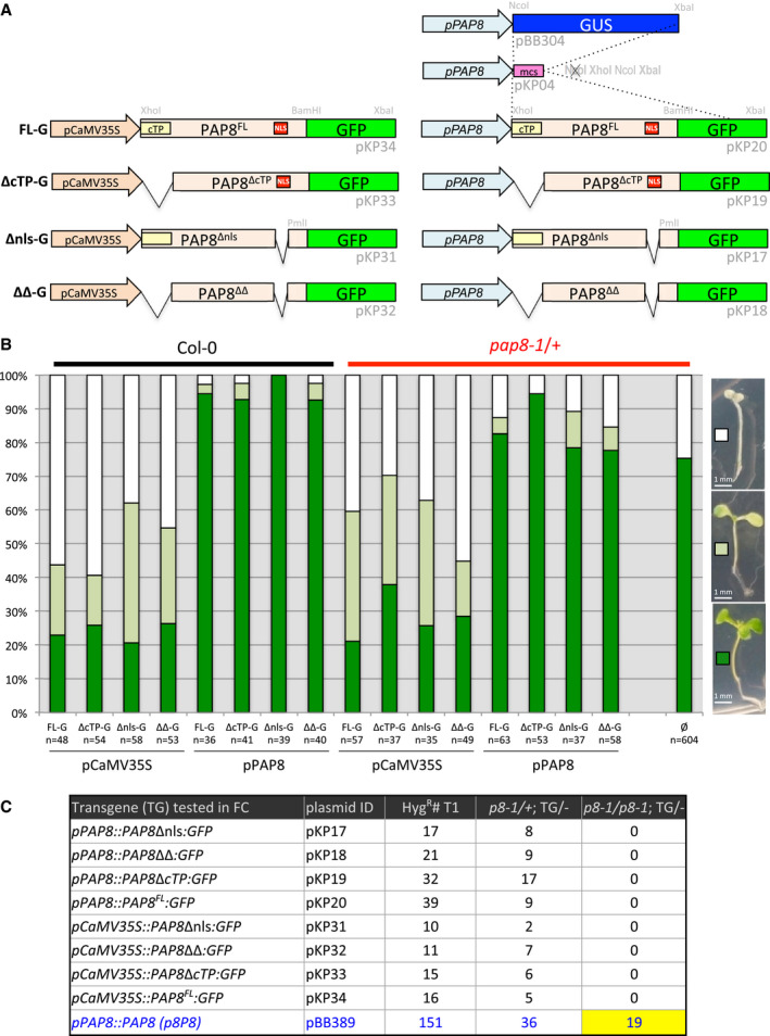 Figure EV3