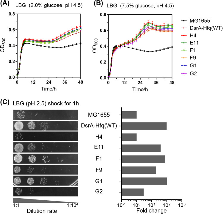 FIG 3