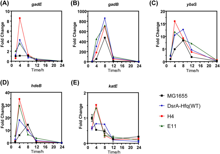 FIG 4