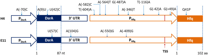 FIG 7