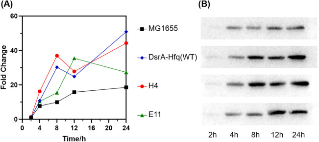 FIG 6