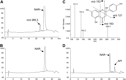 Figure 2.