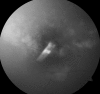 Fig. 2