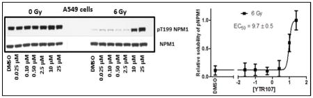 graphic file with name nihms680326u1.jpg