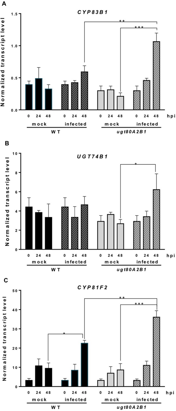 Figure 6