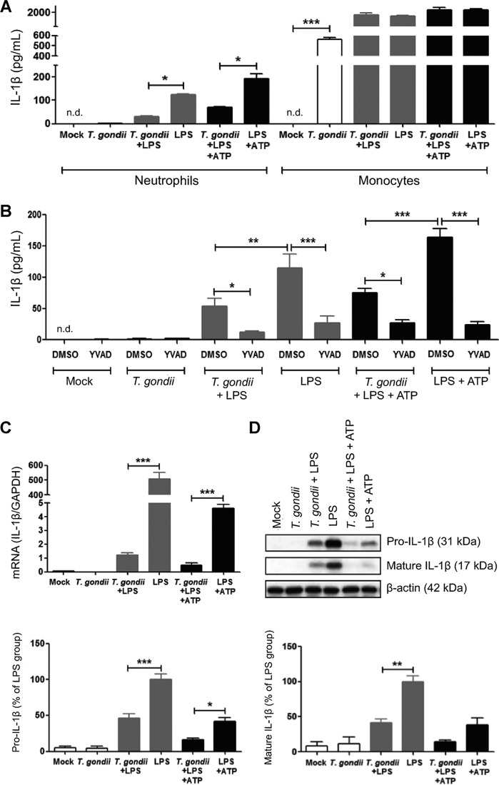 FIG 2 