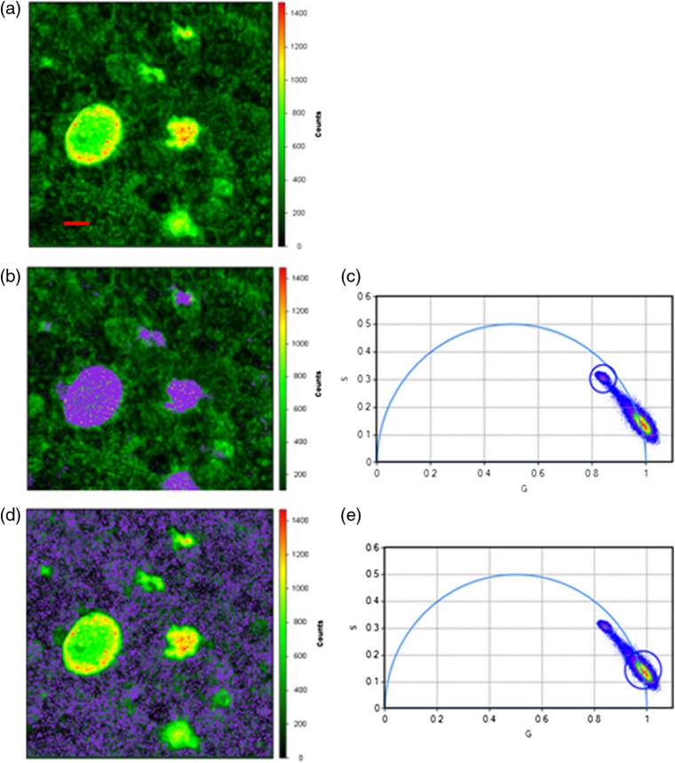 Fig. 4