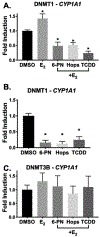 Figure 7: