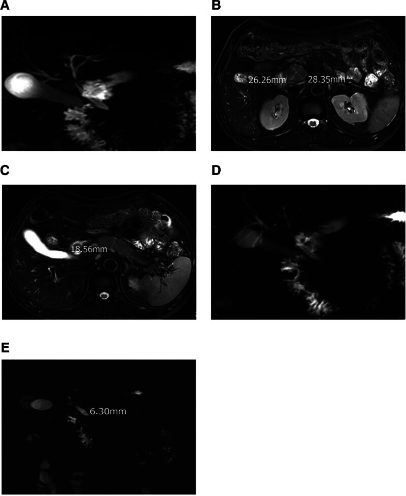 Figure 2.