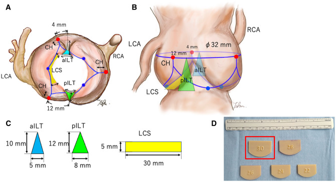 Figure 2: