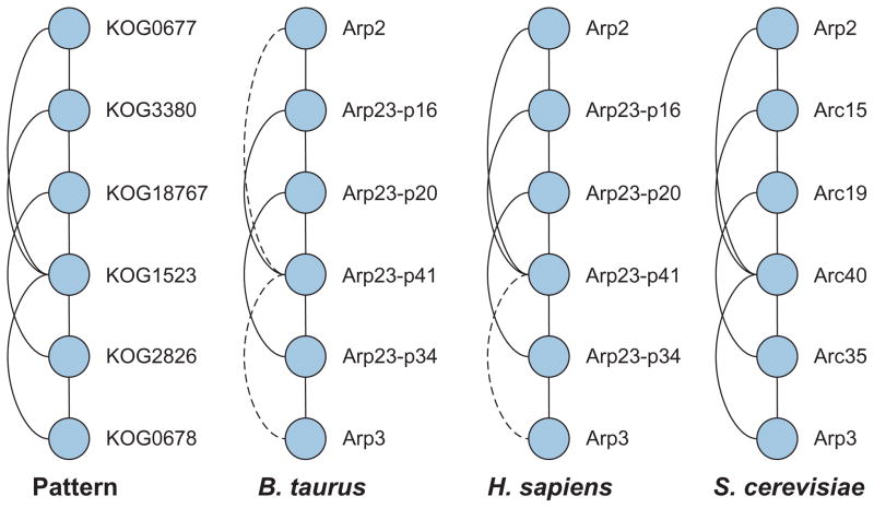 FIGURE 4