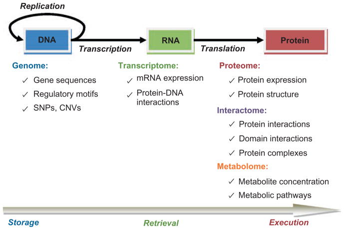 FIGURE 1