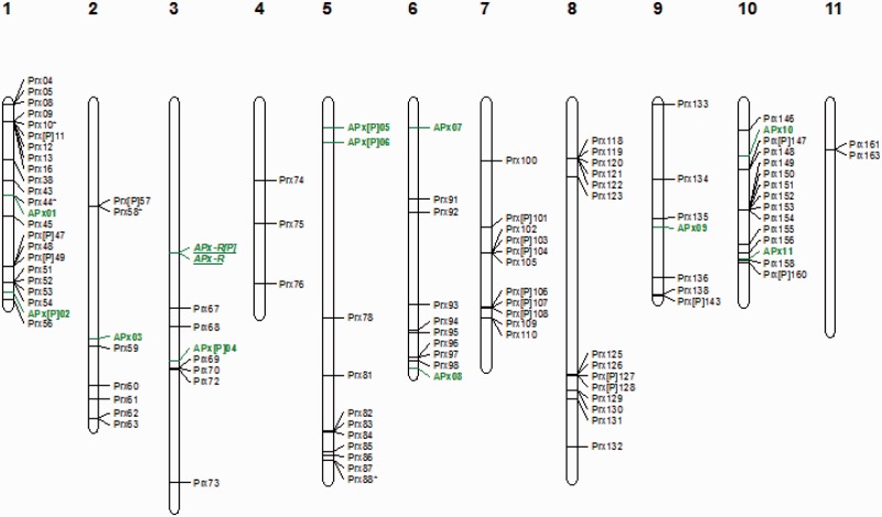 Fig. 1.—