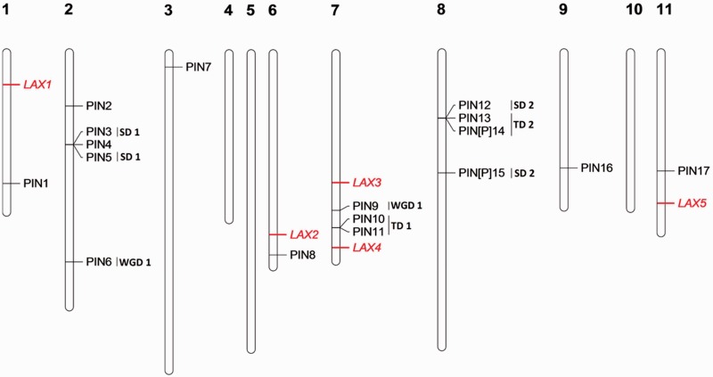 Fig. 3.—