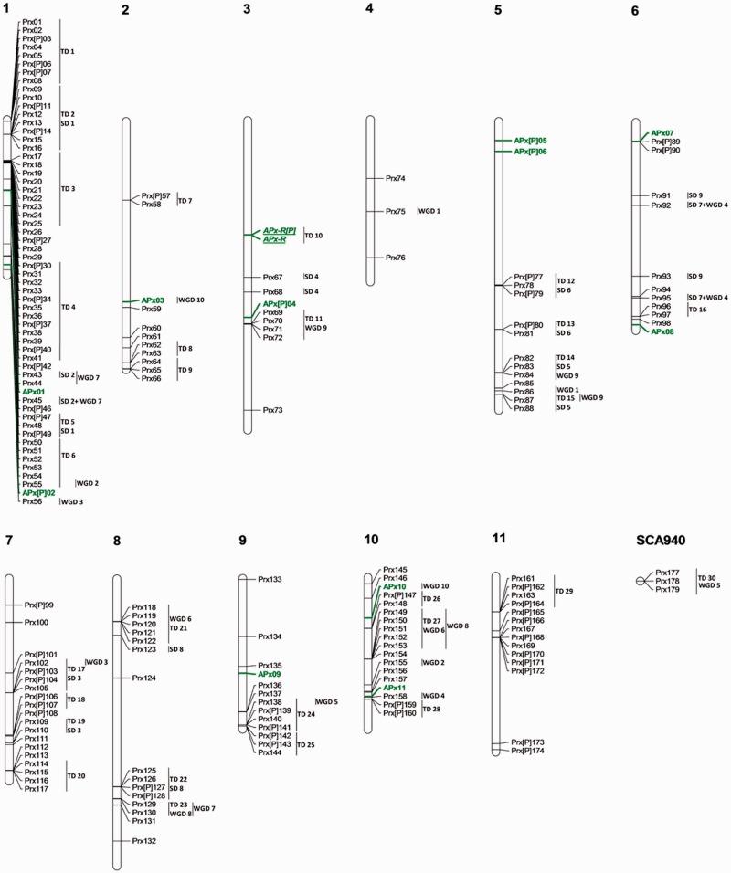 Fig. 7.—