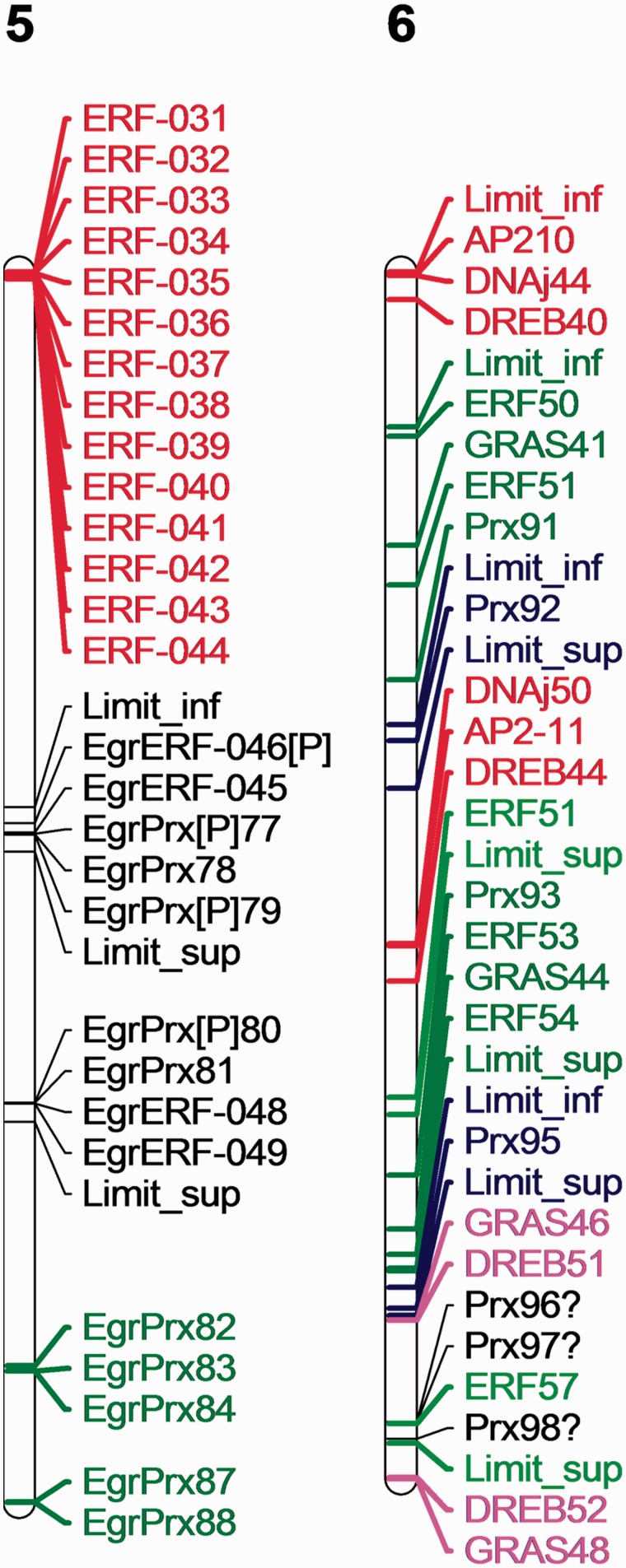 Fig. 8.—