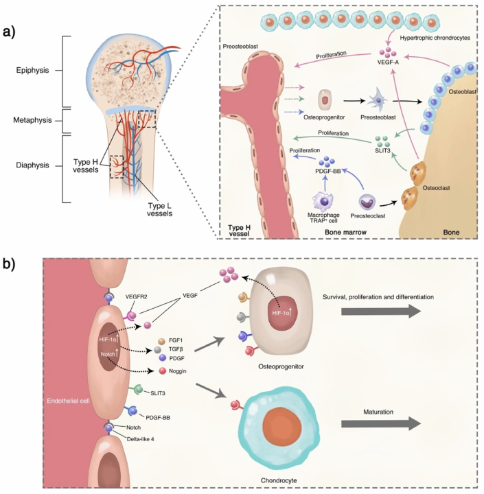 Fig. 10