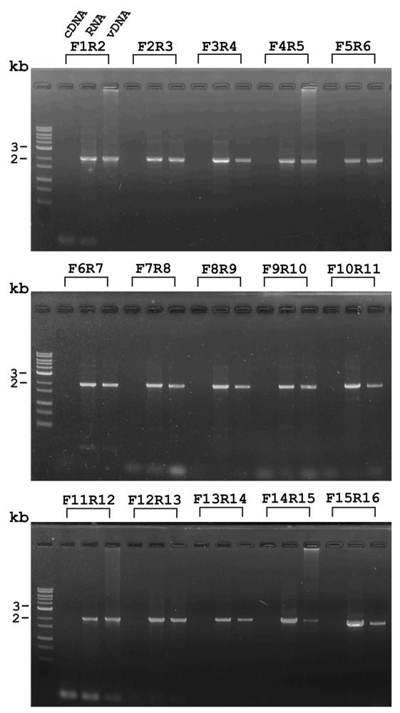 FIG. 8.