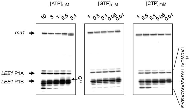 Fig. 5