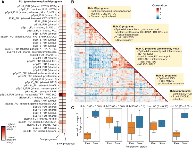 Figure 3. Identification of covarying gene programs that underlie chemotherapy resistance and response. A, cNMF was performed on epithelial cells at FU1. Shown is the mean usage of each cNMF gene program in the epithelial cells of fast and slow progressing patients. B, Heat map showing pairwise correlation of gene program activities across all patient samples at FU1 using the 90th percentile of patient-level program activity in epithelial, myeloid, T, NK, and stromal cells. Hierarchical clustering was performed to identify clusters of covarying proteins, which have been labeled as Hub1C to 5C. C, Average z-scored usage of all gene programs in each hub split by fast and slow progressing patients. Statistical comparison performed using a two-sample t test with Bonferroni correction.