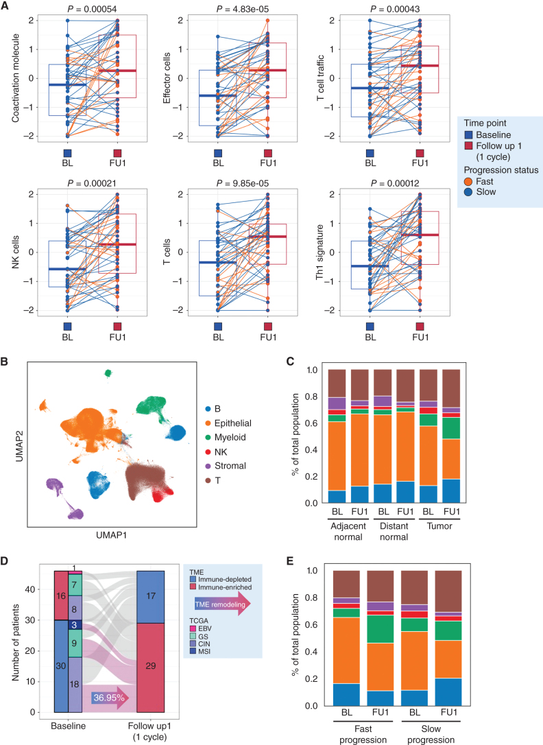 Figure 2. A single cycle of 5-FU/platinum remodels the TME in advanced gastric cancer. A, Changes in enrichment in bulk RNA-seq data of immune-related pathways from baseline (Base) to FU1. Statistical comparison performed using a Wilcoxon signed-rank test. B, UMAP embedding of single-cell transcriptomes obtained from all samples in this trial. Labeled are canonical cell types. C, Cell-type proportions, obtained from scRNAseq data, in adjacent normal, distance normal and tumor tissue, at baseline (BL) and after 1 cycle of chemotherapy (FU1). D, Redistribution of TME subtypes following one cycle of 5FU/platinum chemotherapy. TME subtypes were obtained using a classification performed on bulk RNA-seq data. E, Cell type proportions, obtained from scRNAseq data, in tumor samples of fast and slow progressing patients at BL and FU1.