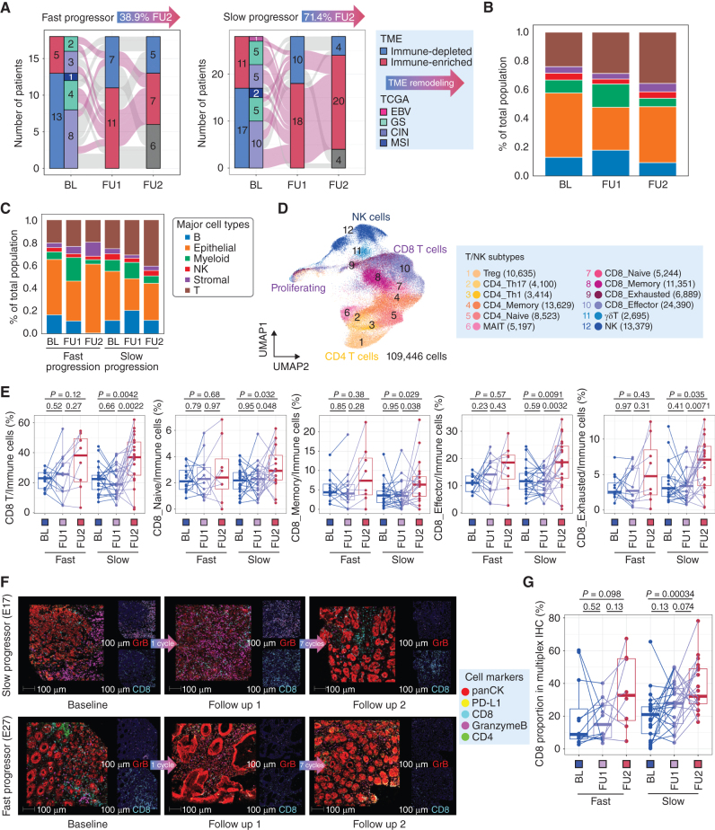 Figure 5. The addition of immunotherapy to 5-FU/platinum chemotherapy redistributes T-cell phenotypes. A, Remodeling of TME from immune depleted to immune-enriched environments derived from bulk RNA-seq profiles in fast and slow progressing patients, shown across timepoints. B, Cell type proportions, obtained from scRNAseq data, of all tumor samples at BL, FU1 and after immunotherapy treatment (FU2). C, Cell type proportions, obtained from scRNAseq data, in tumor samples of fast and slow progressing patients at BL, FU1, and FU2. D, UMAP embedding of single-cell transcriptomes of all T and NK cells from all samples in this trial. Labeled are granular T- and NK-cell subtypes. E, Cell type proportions as a proportion of all immune cells, obtained from scRNAseq data, of total, naïve, memory, effector, and exhausted CD8 T cells. Statistical comparisons performed using a Wilcoxon signed-rank test. F, Multiplexed immunofluorescence (mIF) images of BL, FU1 and FU2 samples from two patients, E17 (slow progressor) and E27 (fast progressor), staining for panCK, PD-L1, CD4, CD8, and Granzyme B. G, Proportion of CD8 T cells macrophages, obtained from mIF images, at BL, FU1 and FU2 in fast versus slow progressing patients. Statistical comparison performed using a Wilcoxon signed-rank test.