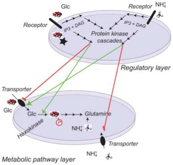 Fig. 3