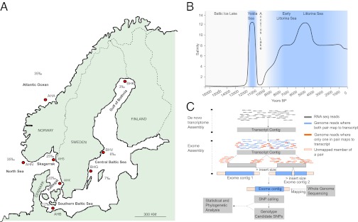 Fig. 1.