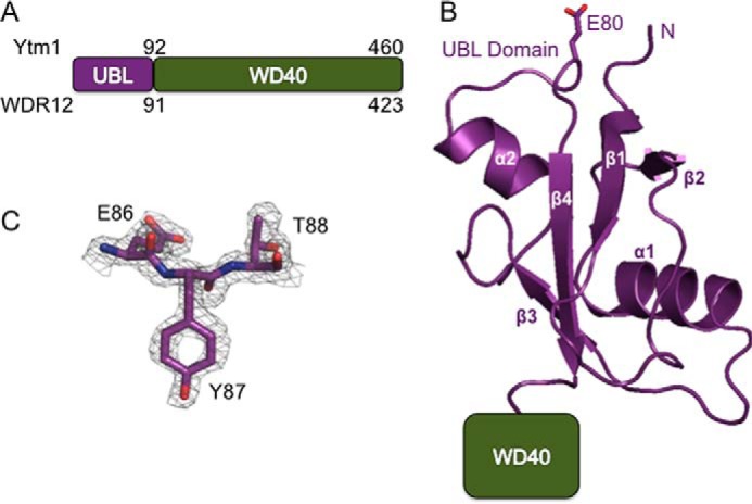 FIGURE 1.