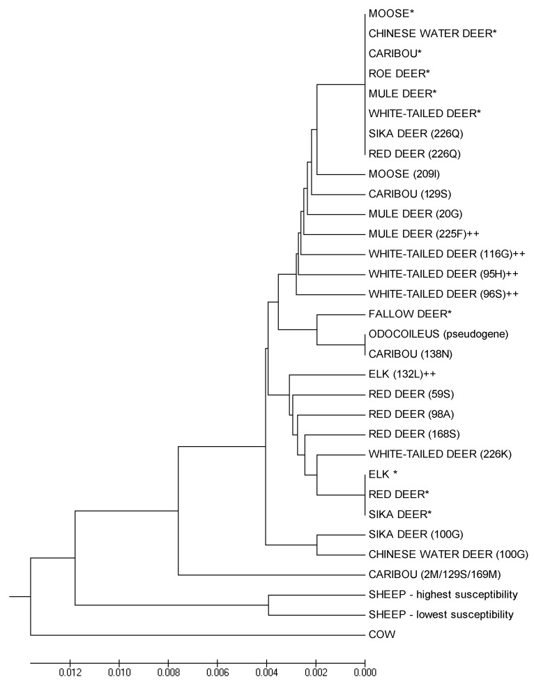 graphic file with name kprn-06-02-10919640-g001.jpg