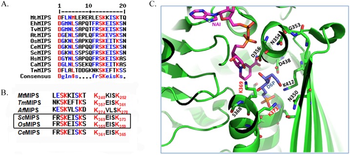 Fig 6