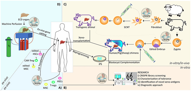 Figure 2: