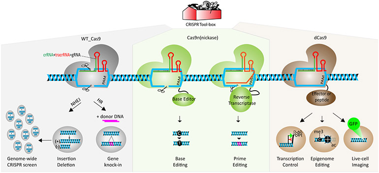 Figure 1: