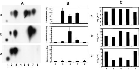 FIG. 3.