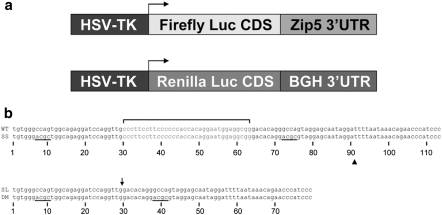 Fig. 6