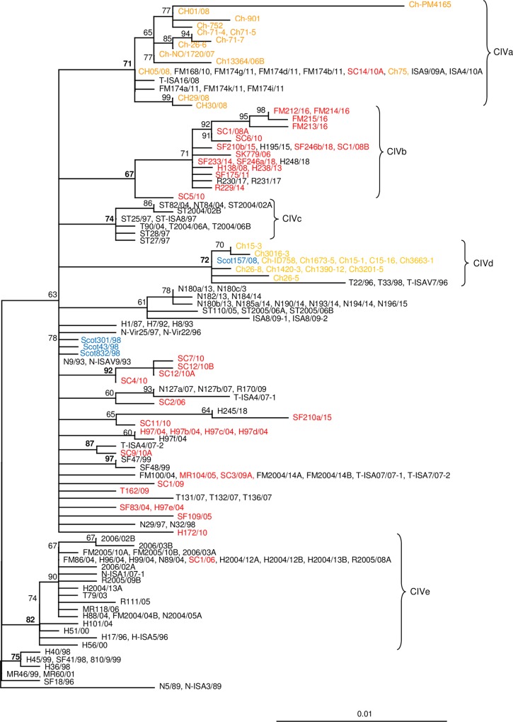 Fig 6