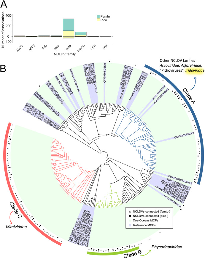 FIG 6